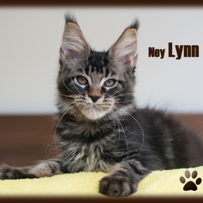 15102016_7601_rahmen.14w