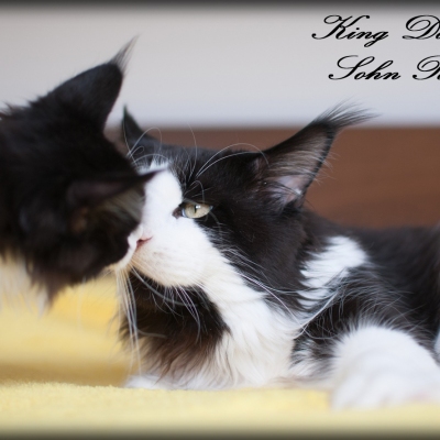 15102016_7732_bearbeitet_14w