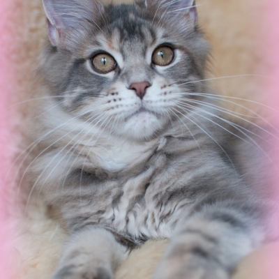 17112016_8596_rahmen_4m