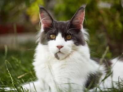 20220813-frohlich-i-48-gross