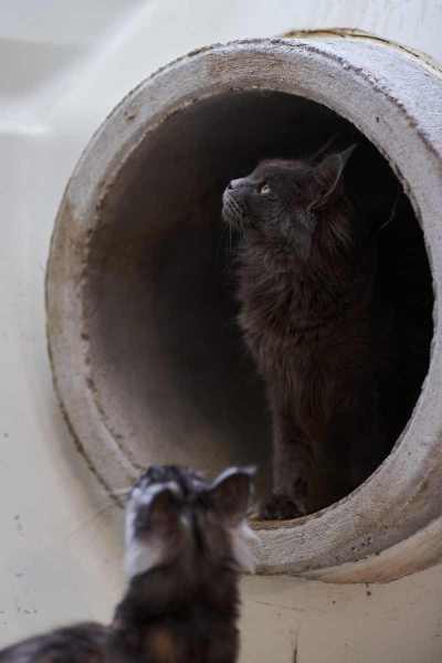 20220813-frohlich-ii-059-gross