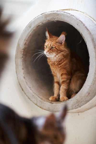 20220813-frohlich-ii-066-gross