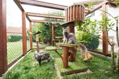 20220813-frohlich-ii-153-gross