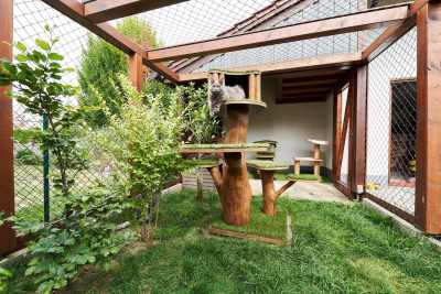 20220813-frohlich-ii-163-gross