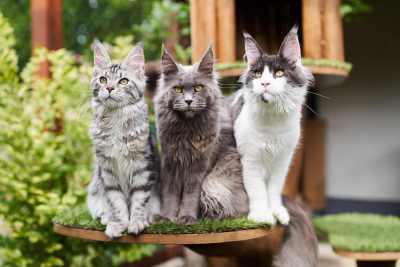 20220813-frohlich-ii-191-gross