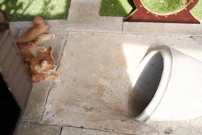 20220813-frohlich-ii-193-gross