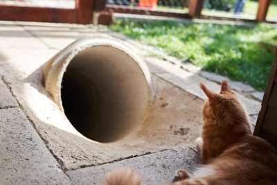 20220813-frohlich-ii-194-gross