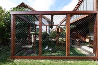 20220813-frohlich-ii-198-gross