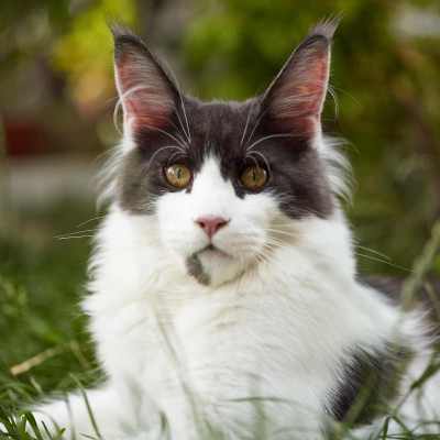 20220813-frohlich-i-48-gross