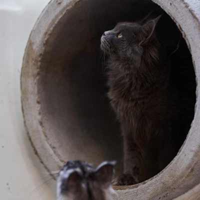 20220813-frohlich-ii-059-gross