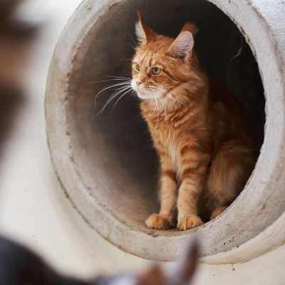 20220813-frohlich-ii-066-gross