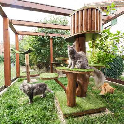 20220813-frohlich-ii-153-gross