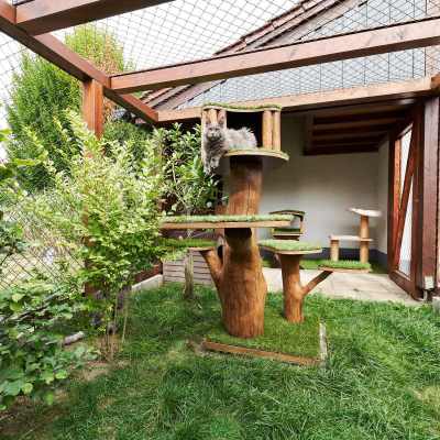 20220813-frohlich-ii-163-gross