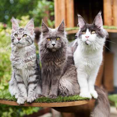 20220813-frohlich-ii-191-gross