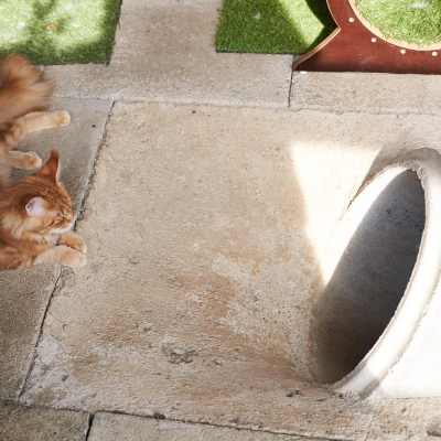 20220813-frohlich-ii-193-gross