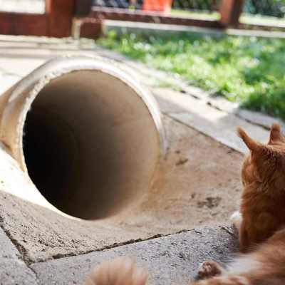 20220813-frohlich-ii-194-gross