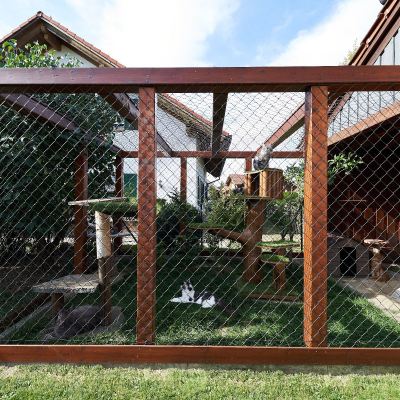 20220813-frohlich-ii-198-gross