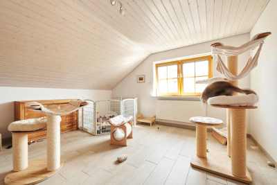 20220813-frohlich-ii-131-gross