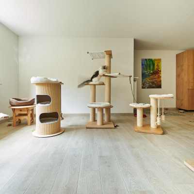 20220813-frohlich-ii-040