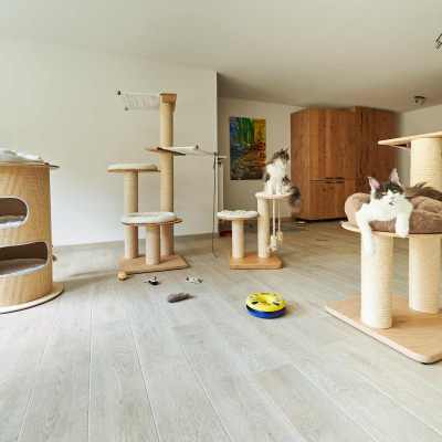 20220813-frohlich-ii-049-gross