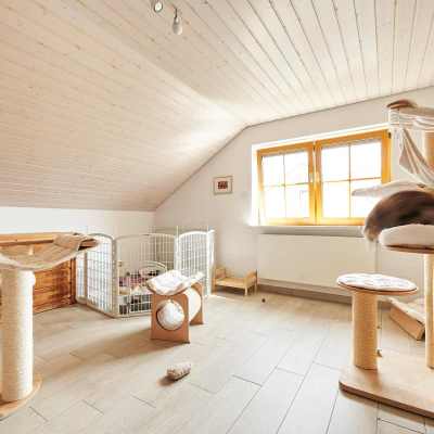 20220813-frohlich-ii-131-gross