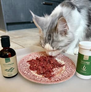 Omega3 Katze